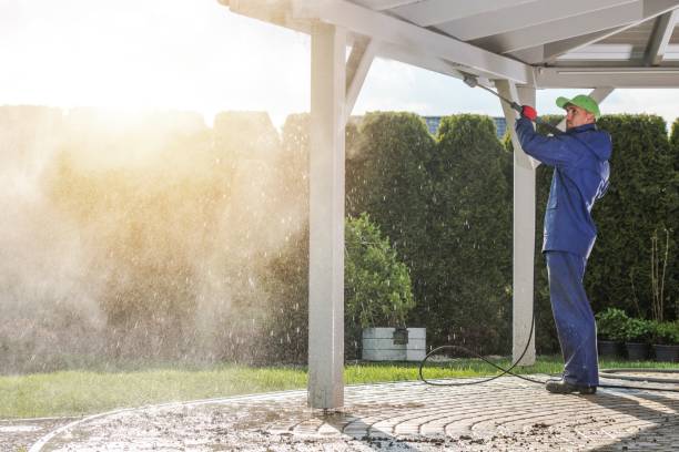 Best Dumpster Area Cleaning  in San Marino, CA
